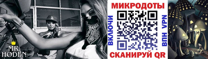 Галлюциногенные грибы MAGIC MUSHROOMS  Приозерск 