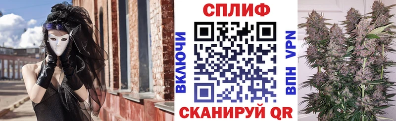 где купить наркотик  Приозерск  МЕГА как войти  Марихуана марихуана 