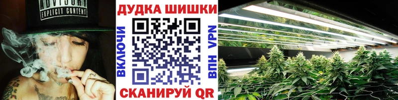 МАРИХУАНА сатива Приозерск